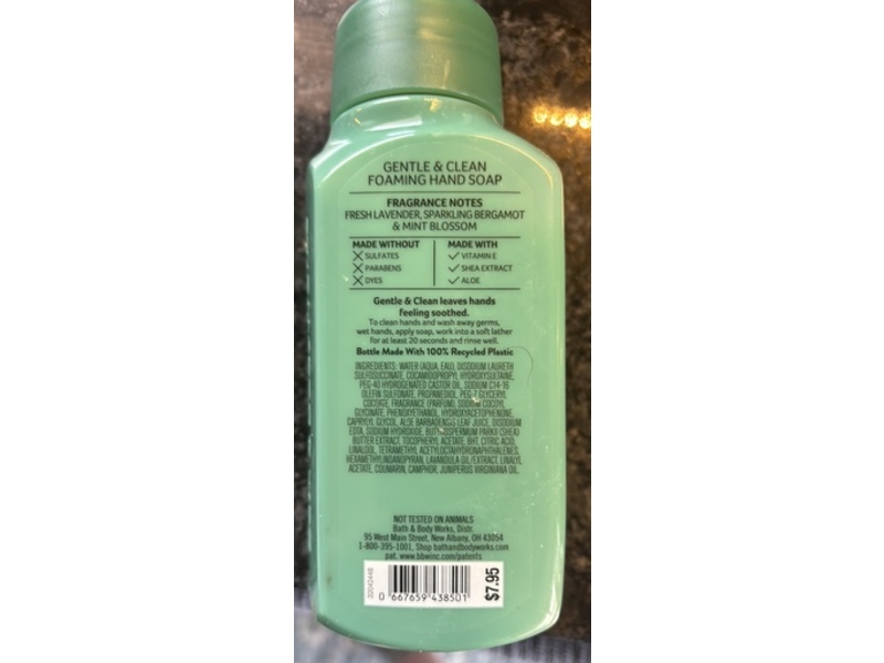 White Barn Gentle & Clean Foaming Hand Soap, Clean House Vibes, 8.75 fl oz/259 mL