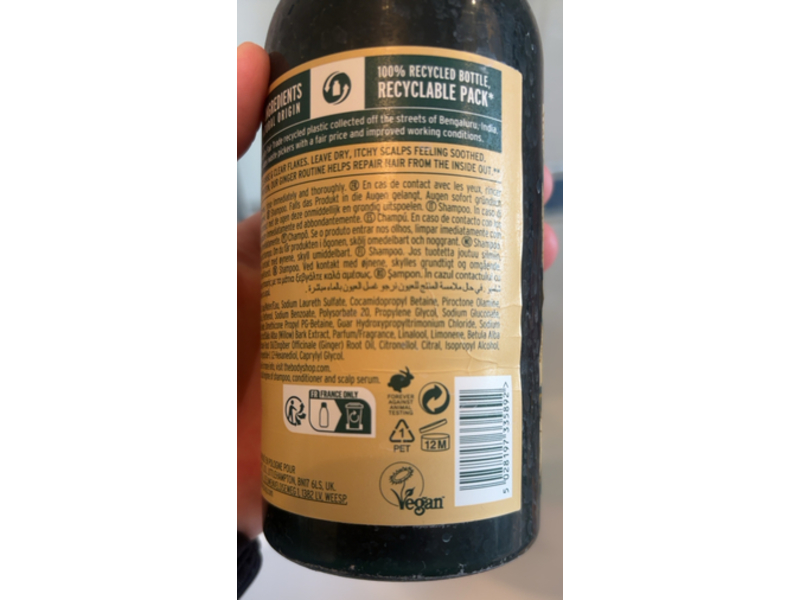 The Body Shop Anti - Dandruff Shampoo, Ginger, 13.5 fl oz/400 mL