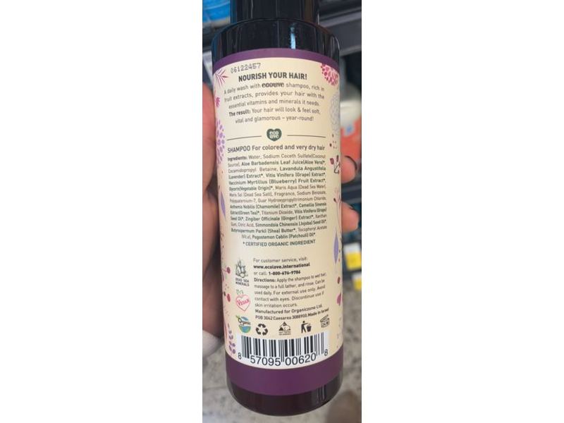 ecoLove Shampoo, Blueberry Grape & Lavender, 17.6 fl oz/500 mL