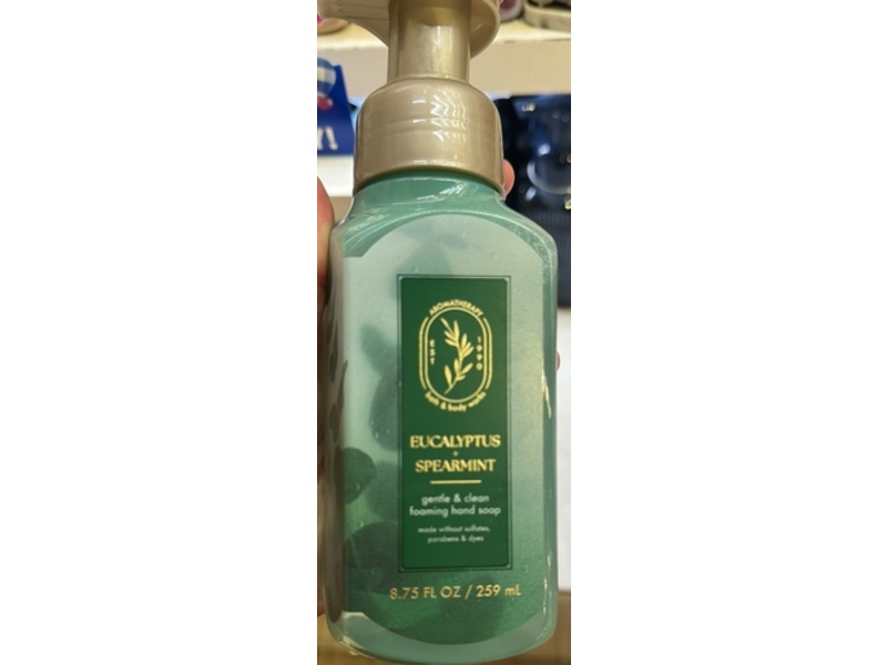 Bath & Body Works Gentle & Clean Hand Soap, Eucalyptus + Spearmint, 8.75 fl oz/259 mL