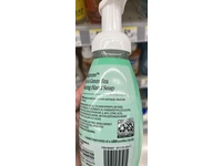Walgreens Foaming Hand Soap, Aloe & Green Tea, 10 fl oz/296 mL - Image 5