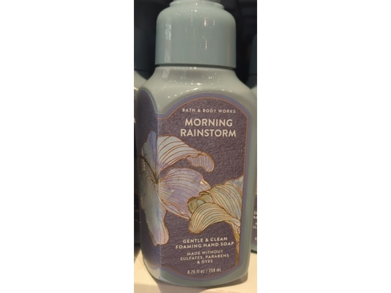 Bath & Body Works Gentle & Clean Foaming Hand Soap, Morning Rainstrom, 8.75 fl ioz/259 mL