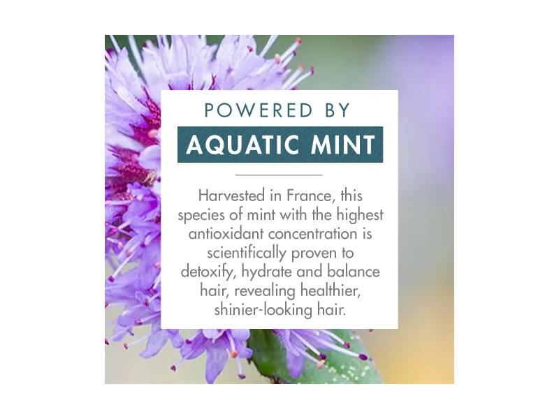 Klorane Detox Dry Shampoo, Aquatic Mint, 1 oz/31 mL