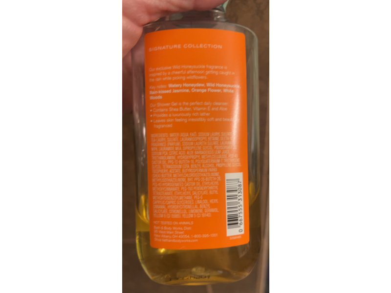 Bath & Body Works Wild Honeysuckle Shower Gel, Shea & Vitamin E, 10 fl oz/295 mL