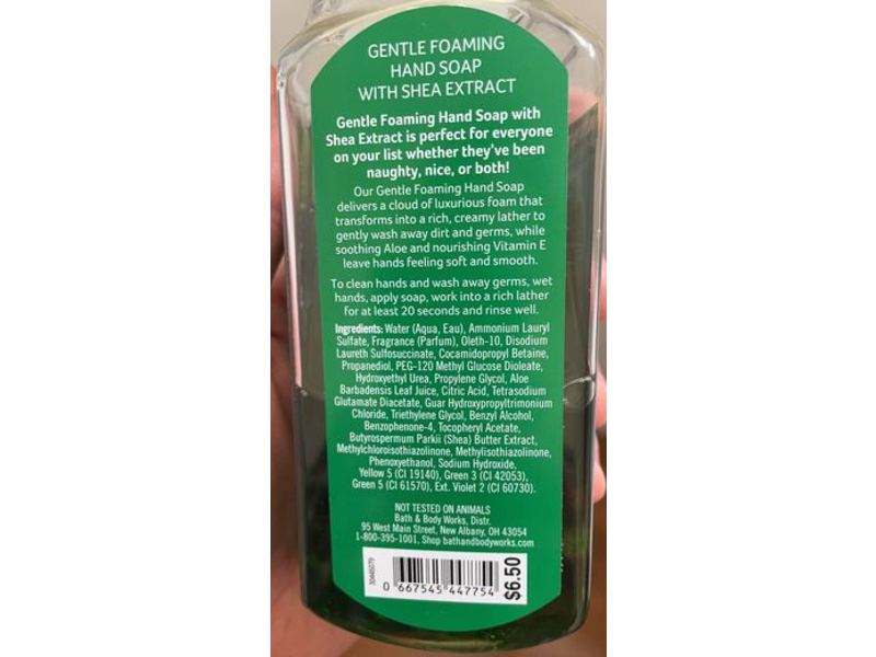 Bath & Body Works Gentle Foaming Hand Soap, Vanilla Bean Noel, 8.75 fl oz/259 mL