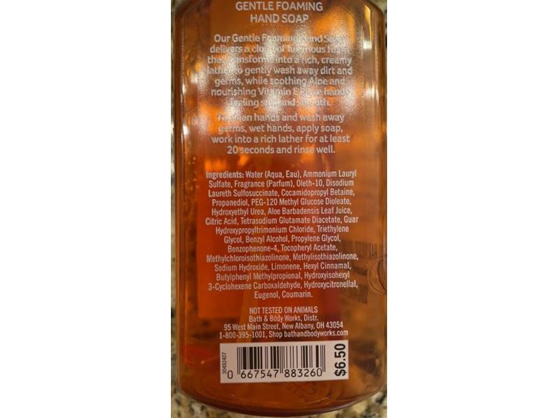 Bath & Body Works Gentle Foaming Hand Soap, Sweet Cinnamon Pumpkin, 8.75 fl oz