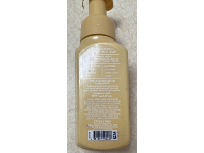 Bath & Body Works Gentle & Clean Foaming Hand Soap, The Perfect Weekend, 8.75 fl oz/259 mL