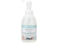 Ginger Lily Farms Botanicals Foaming Hand Soap, Cucumber Mint Bliss, 20 fl oz/591 mL - thumbnail 1