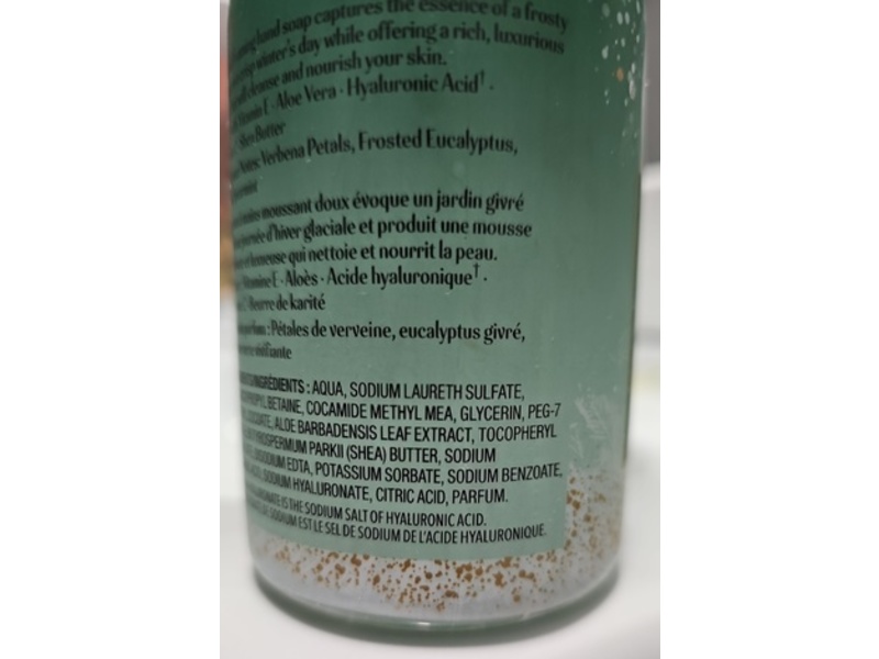 Life Brand Foaming Hand Soap, Winter Eucalyptus, 240 mL