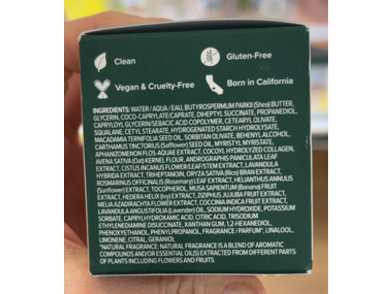 Osea Collagen Dream Night Cream, 1.9 oz/55 g