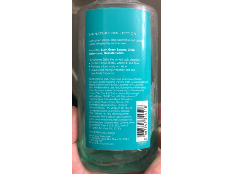 Bath & Body Works Shower Gel, RainKissed Leaves, Shea & Vitamin E, 10 fl oz/295 mL