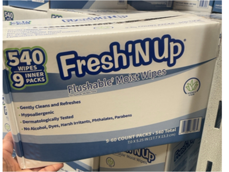 Fresh'N Up Flushable Moist Wipes, 540 Count