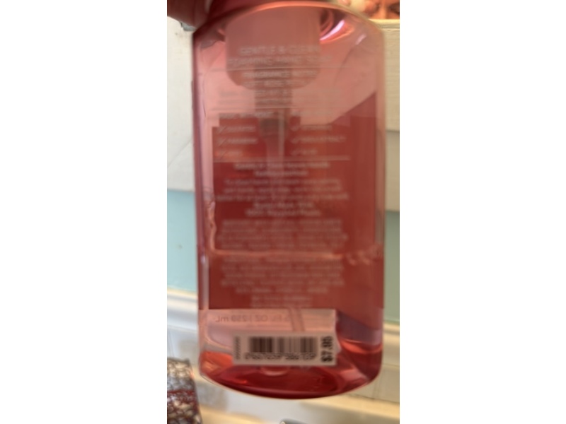Bath & Body Works Gentle & Clean Foaming Hand Soap, Rose Water & Ivy, 259 mL