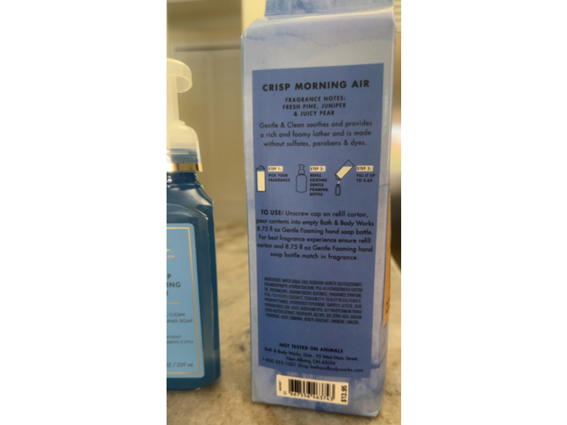 Bath & Body Works Gentle & Clean Foaming Hand Soap Refill, Crisp Morning Air, 32 fl oz/946 mL