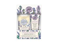 Mardi Gras Spot Michel Design Works Handcare Gift Set, Lavender Rosemary - thumbnail 1