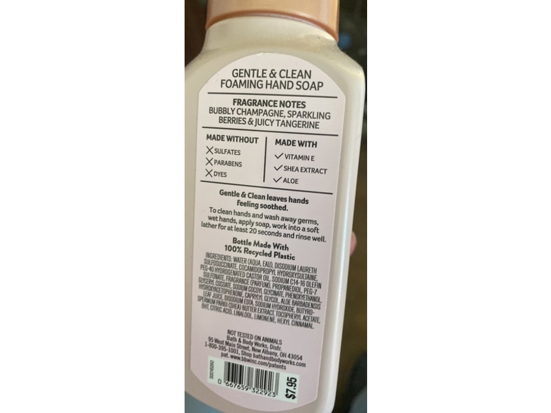Bath & Body Works Gentle + Clean Foaming Hand Soap, Champagne Toast, 8.75 fl oz/259 mL