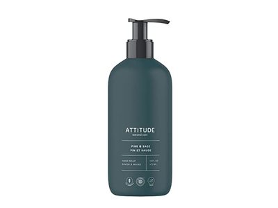 Attitude Hand Soap, Pine & Sage, 16 fl oz/473 mL
