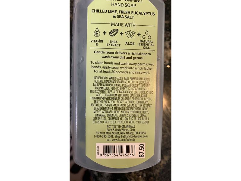 Bath & Body Works White Barn Gentle Foaming Hand Soap, Sea Salt & Lime, 8.75 fl oz / 259 ml