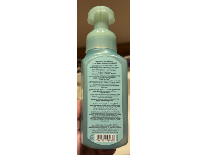 Bath & Body Works Gentle & Clean Foaming Hand Soap, Winter Citrus Wreath, 8.75 fl oz/259 mL