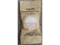 Blueland Foaming Hand Soap, Peony Blossom, 0.3 fl oz/8.7 g - thumbnail 2