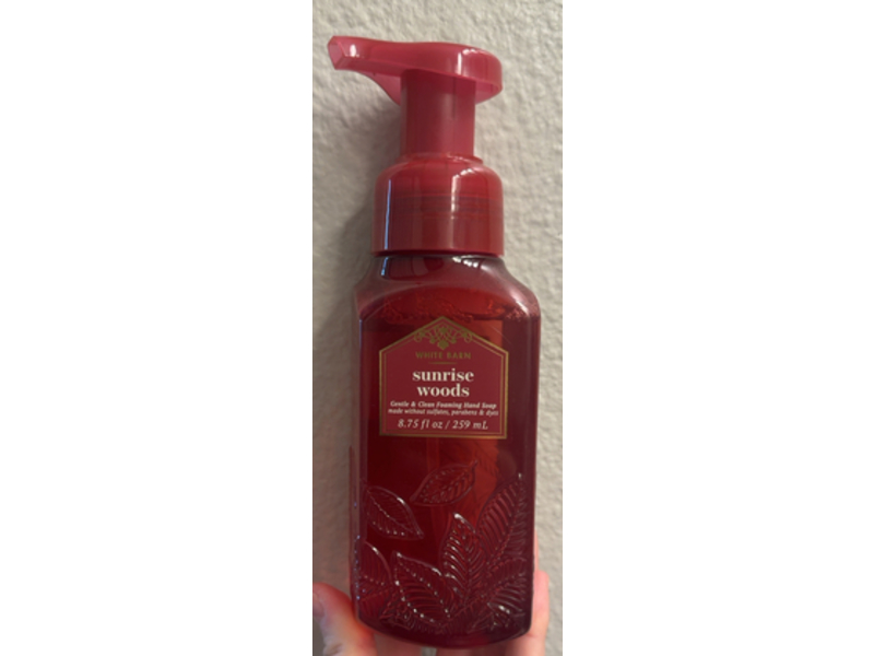 Bath & Body Works Gentle & Clean Foaming Hand Soap, Sunrise Woods, 8.75 fl oz/259 mL