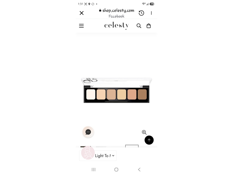Celesty Correct & Conceal Concealer Cream Palette, Light To Medium, SPF 20