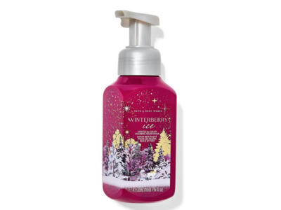 Bath & Body Works Gentle & Clean Foaming Hand Soap, Winterberry Ice, 8.75 fl oz/259 mL