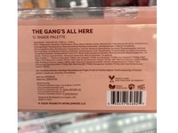 Profusion Cosmetics Peanuts 75th The Gang’s All Here 12 Shade Palette, 0.38 oz/10.8 g - Image 4