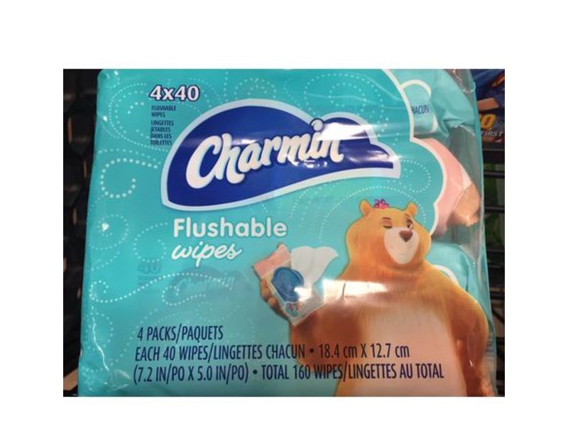 Charmin Flushable Wipes, 160 count
