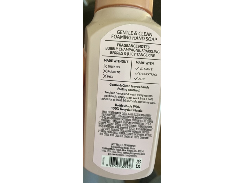 Bath & Body Works Gentle + Clean Foaming Hand Soap, Champagne Toast, 8.75 fl oz/259 mL