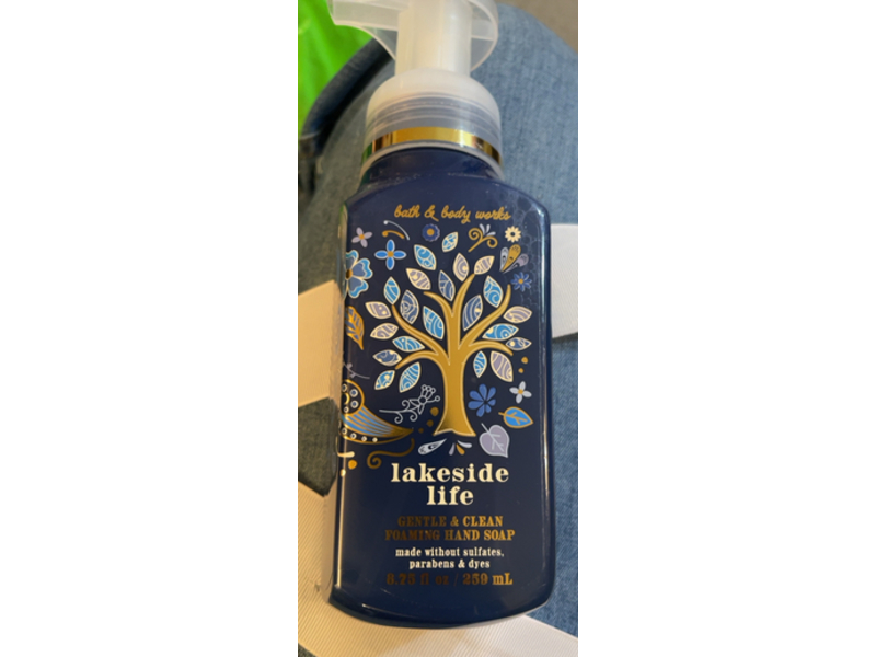 Bath & Body Works Gentle & Clean Foaming Hand Soap, Lakeside Life, 8.75 fl oz/259 mL, Pack Of 2