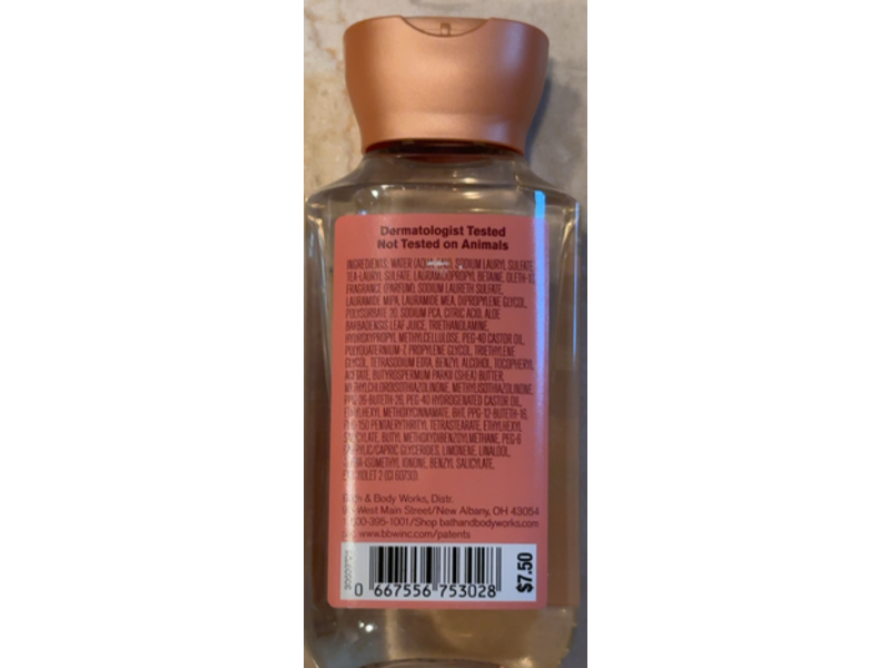 Bath & Body Works Fall In Bloom Shower Gel, Aloe & Vitamin E, 3 fl oz/88 mL