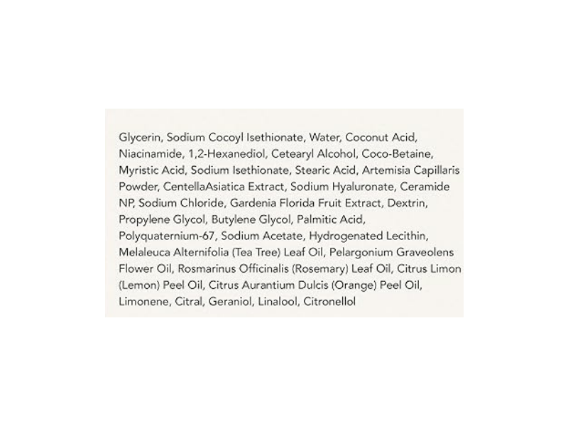 Whipped Cream Facial Cleanser, Mugtree, 2.8 fl oz