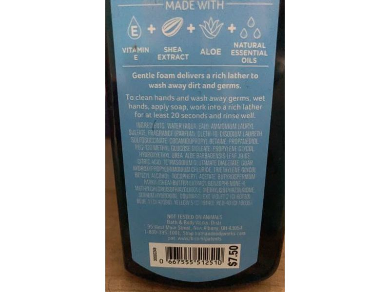 Bath & Body Works Gentle Foaming Hand Soap, Frosted Coconut Snowball, Natural Essential Oils, 8.75 fl oz/259 mL