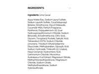 Wella Professional Invigo Color Brilliance Shampoo, Fine Lime Caviar, 1 L - Image 4