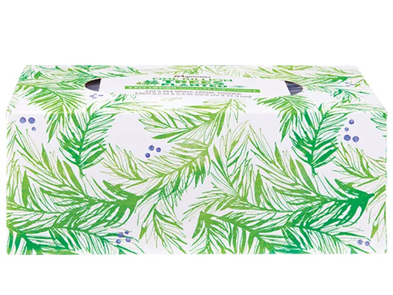 Wegmans White Facial Tissues 3 Ply Lotion, Aloe & Vitamin E, 1 Pack
