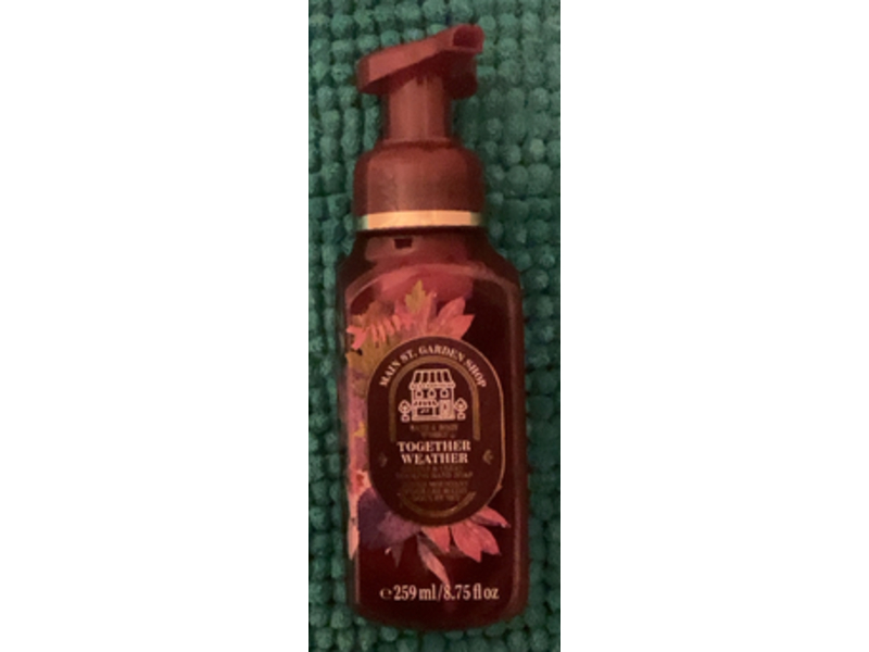 Bath & Body Works Gentle & Clean Foaming Hand Soap, Together & Weather, 8.75 fl oz/259 mL