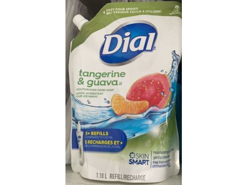 Dial Moisturizing Hand Soap, Tangerine & Guava, 1.18 L, Pack Of 4