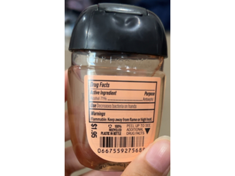 Bath & Body Works Anti-Bacterial Hand Gel, Pink Peach Blossom, 1 fl oz/29 mL