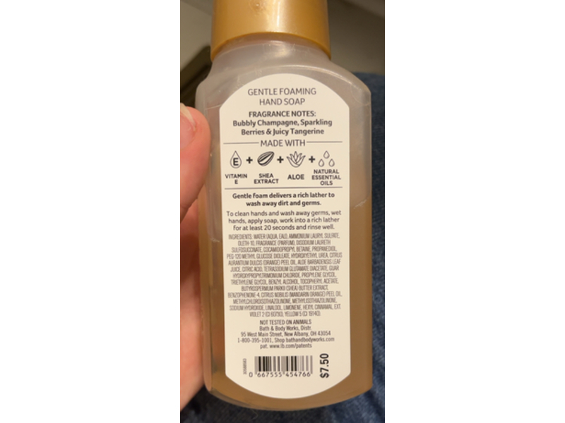 Bath & Body Works Champagne Toast Gentle Foaming Soap, Natural Essential Oils, 8.75 fl oz/259 mL