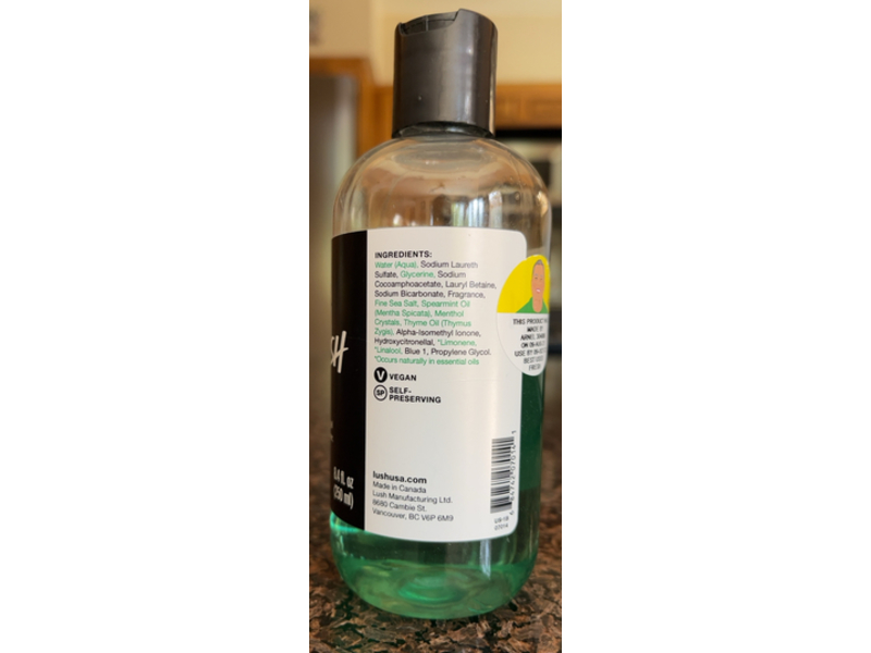 Lush Shower Gel, Dirty Springwash, 8.4 fl oz/250 mL