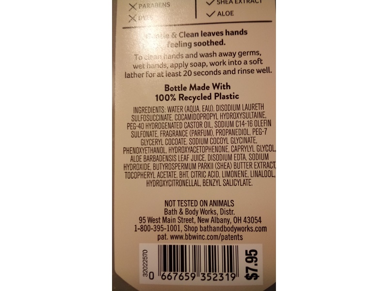 Bath & Body Works Gentle & Clean Foaming Hand Soap, Dragonfruit and Palm Leaves, 8.75 fl oz/259 mL