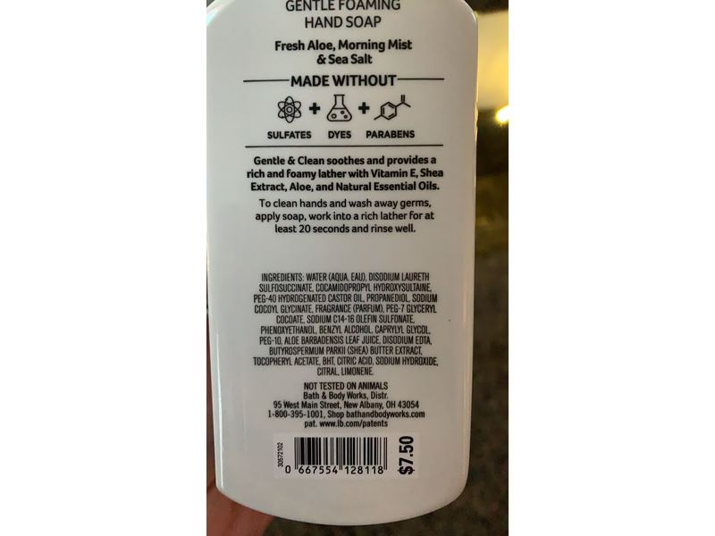 Bath & Body Works Foaming Hand Soap, Gentle & Clean, 8.75 fl oz/259 mL