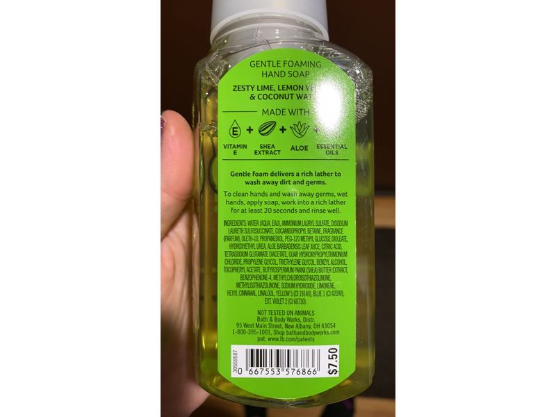 Bath & Body Works White Barn Candle Company Gentle Foaming Hand Soap - 8.75 fl oz - Owl Be There