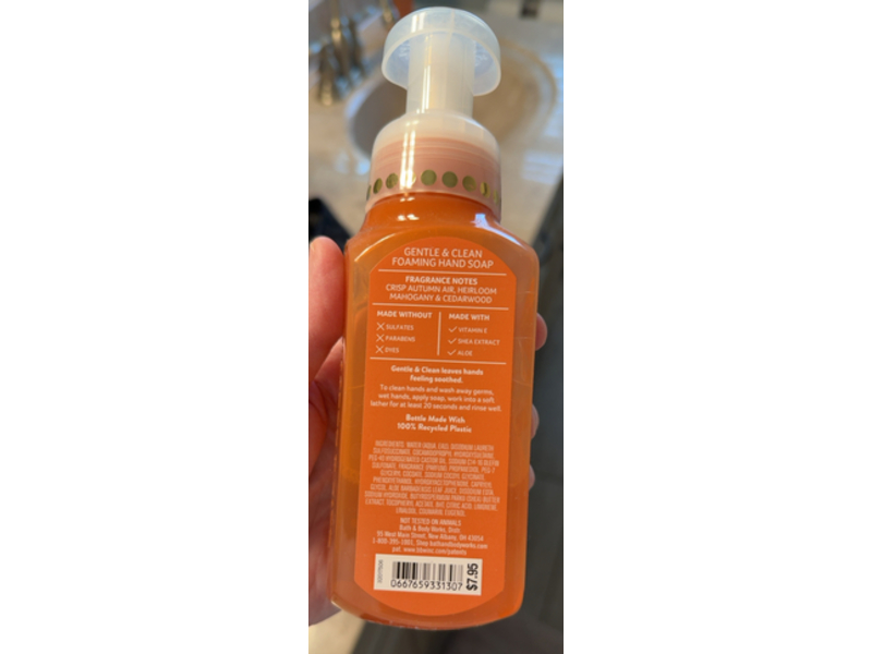 Bath & Body Works Gentle & Clean Foaming Hand Soap, Flannel, 8.75 fl oz/259 mL