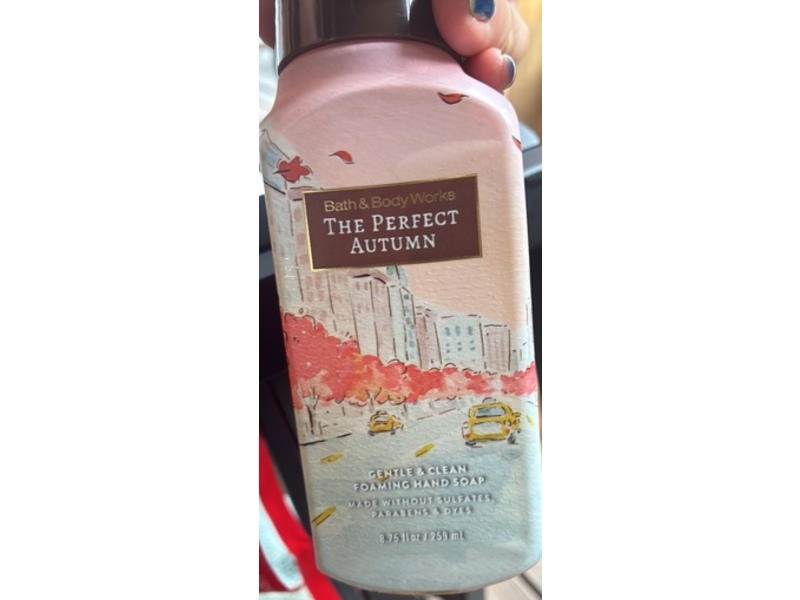 Bath & Body Works Gentle & Clean Foaming Hand Soap, The Perfect Autumn, 8.75 fl oz/259 mL