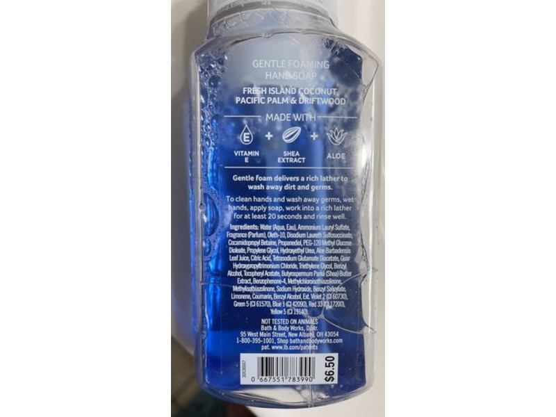 Bath & Body Works Gentle Foaming Hand Soap, 8.75 fl oz