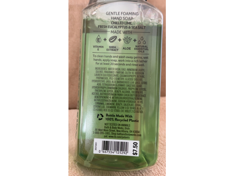 Bath & Body Works Gentle Foaming Hand Soap, Sea Salt & Lime, 8.75 mL/259 mL