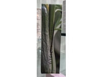 Fitglow Beauty Calm Cleanser, 4.02 fl oz/120 mL - thumbnail 2