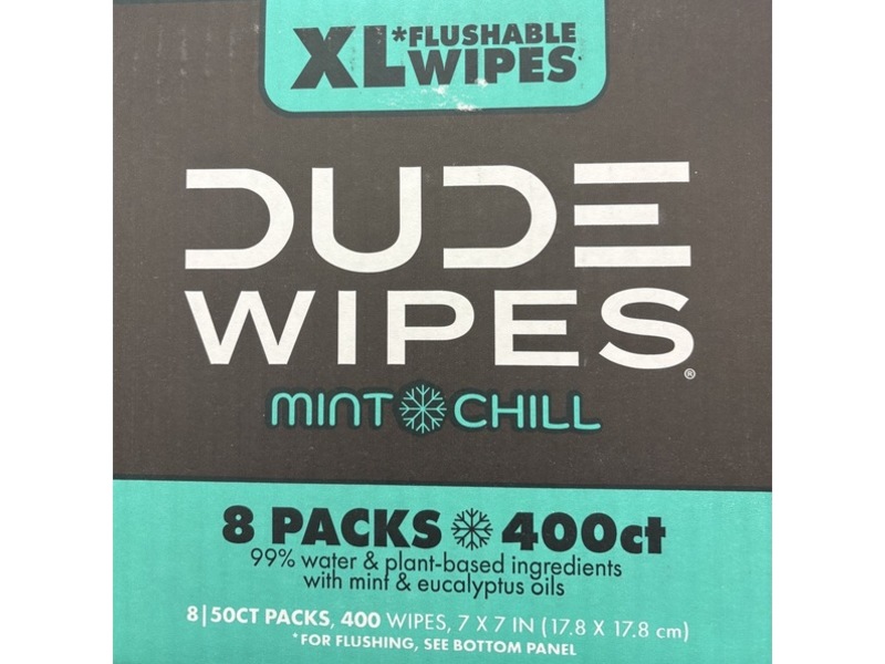 Dude Wipes Flushable Wipes, Mint Chill, 400 Count, Pack Of 8